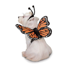 Zack & Zoey Glow Harness with D-ring attachment for secure leash use.