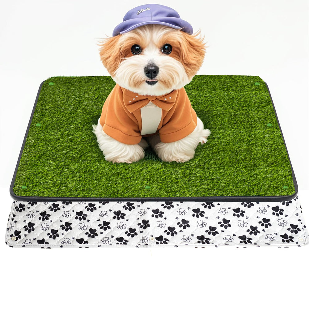 Zalhyrox grass pad for dogs potty 20x25 enables easy indoor potty breaks.