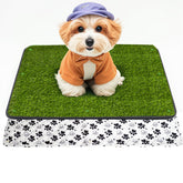 Zalhyrox grass pad for dogs potty 20x25 enables easy indoor potty breaks.