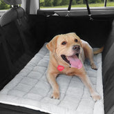Zanch thick supportive dog car bed on backseat provides secure, calm travel.