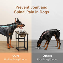 Zarler elevated dog bowls stand assembly in 15 minutes with no tools required.