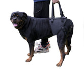 ZDBFu Dog Lift Harness hero view demonstrates secure hind-leg support for easier mobility