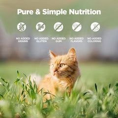 ZEAL hydration bowl showcasing moisture-rich meal for cat hydration and palatability
