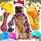 Zeaxuie large rope toy—built for heavy chewers, ideal for bonding and indoor play.