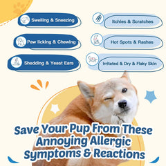 ZEBORA dog allergy chews bottle highlights omega-3 for coat health.