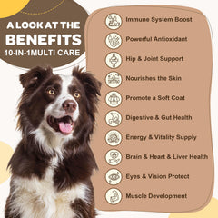 ZEBORA dog multivitamin bite-sized chews entice dogs with tasty texture for easy supplementation.
