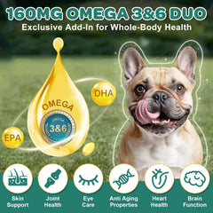ZEBORA probiotics for dogs bottle packaging closeup for convenient daily use.