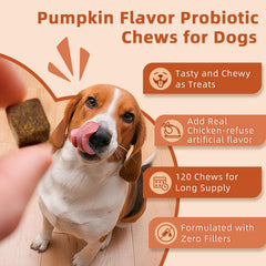 ZEBORA probiotics for dogs prebiotics balance image signals gut flora support.