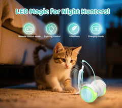 ZeLing HTL catnip-feathers LED spark simple, engaging play for senior cats.