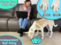 Zenly Paws Nail File Toy treat box dispenser encourages engagement during care.