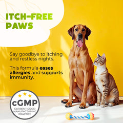 ZENO Dog Allergy Chews features prebiotics and probiotics for digestive support.