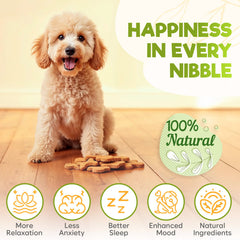 ZENO hemp calming chews beef close-up shows a tasty, calming treat for dogs.