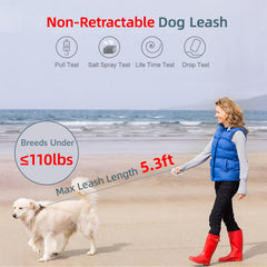 ZenQeek leash with integrated poop bag dispenser for easy clean-up.