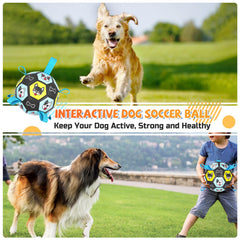 ZestPulse dog fetch toy buoyant design supports water play and splash fun