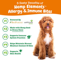 Zesty Paws Allergy Relief soft chews closeup highlights texture and seasonal itch relief potential.