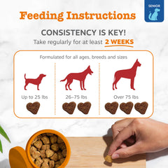 Zesty Paws AstaZine astaxanthin supports ocular health in dogs.