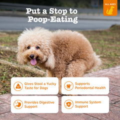 Zesty Paws Chew No Poo bites being offered to a dog for gut health