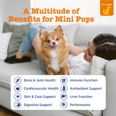 Zesty Paws chicken mini bites close-up show tasty daily support for joints and coat.