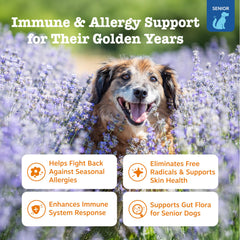 Zesty Paws epi-cor pets immunity bites close-up highlighting immune support benefits.