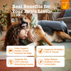 Zesty Paws Liver Support Bites bottle shows chewable liver health supplement for dogs.