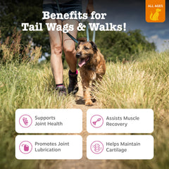 Zesty Paws Mobility Bites duck-chews close-up promotes flexible movement.