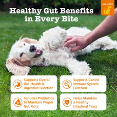 Zesty Paws Probiotics dog chews pumpkin flavor, a tasty gut health treat.
