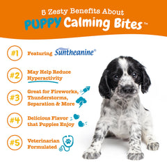 Zesty Paws Puppy Calming Bites chews shown for dog relaxation during fireworks or car rides.