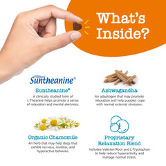 Zesty Paws calming bites ingredients blend panel featuring chamomile and magnesium for gentle relaxation.