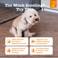 Zesty Paws Scoot Away pour shows easy daily serving for digestion.