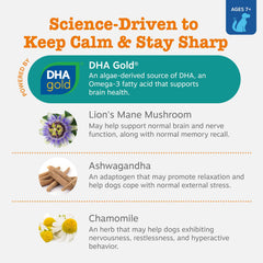 Zesty Paws Senior Advanced Calming Chews in hand show tasty senior cognitive support.