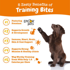 Zesty Paws Training Treats puppy training session image promotes positive behavior with PB flavor.