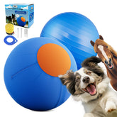 ZIDA 25-inch herding ball aids Australian Shepherd play and training in focused herding sessions