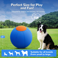 ZIDA high-visibility blue-orange colors boost canine engagement during exercise