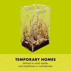 Zilla Micro Habitat clear walls maximizing visibility of arboreal residents