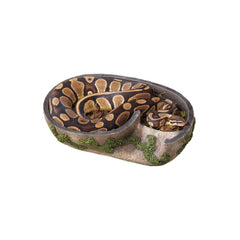 Zilla Rock Lair humidity-den helps maintain moisture for shedding comfort.