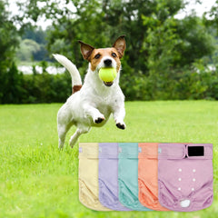 ZINGTERRA dog diapers with sewn-in absorbent pad for leak containment.