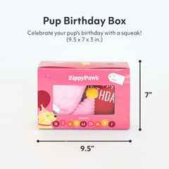 ZippyPaws Birthday Box wearable hat toy, cute outfit photos and doggy smiles.