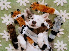 Juguete sin relleno ZippyPaws Skinny Peltz con Mapache para morder