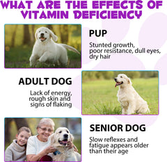 ZIXAOK ingredients highlight glucosamine and MSM for joint comfort