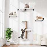 ZLAFM 5-in-1 cat wall shelves installation step demonstrates quick, secure mounting for play.
