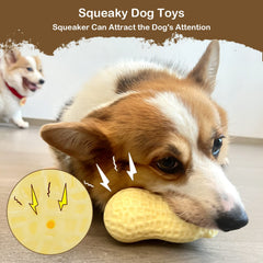 ZNOKA built-in squeaker toy in action for engaging play.