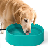 ZOCHIXEL 3-7L heated water bowl outdoors keeps pets hydrated in cold weather