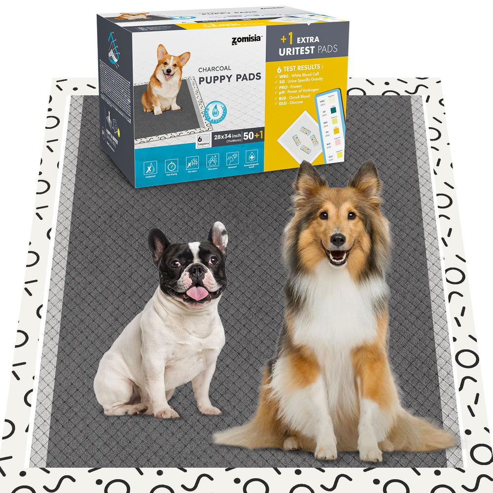 ZOMISIA charcoal puppy pad extralarge 28x34 image1 highlights instant absorption for clean floors