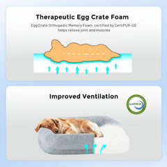ZOMISIA Extra Large Dog Bed non-slip bottom keeps the bed steady during play and rest.