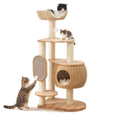 Zonoria Zephyria pumpkin-nest closeup showing cozy hideaway for cats