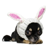 Zoo Snoods Bunny Costume knit dog snood with Easter-ready warmth.