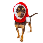 Zoo Snoods Christmas Santa Hat Costume on a small dog for neck warmth and festive look