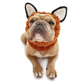 Zoo Snoods Fox Costume knit dog snood with ears for warm, playful Halloween styling.