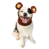 Zoo Snoods fuzzy bear costume on dog for cozy seasonal wear.