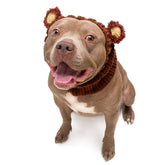 Zoo Snoods Fuzzy Bear Costume on dog, warm knit wear for winter outings